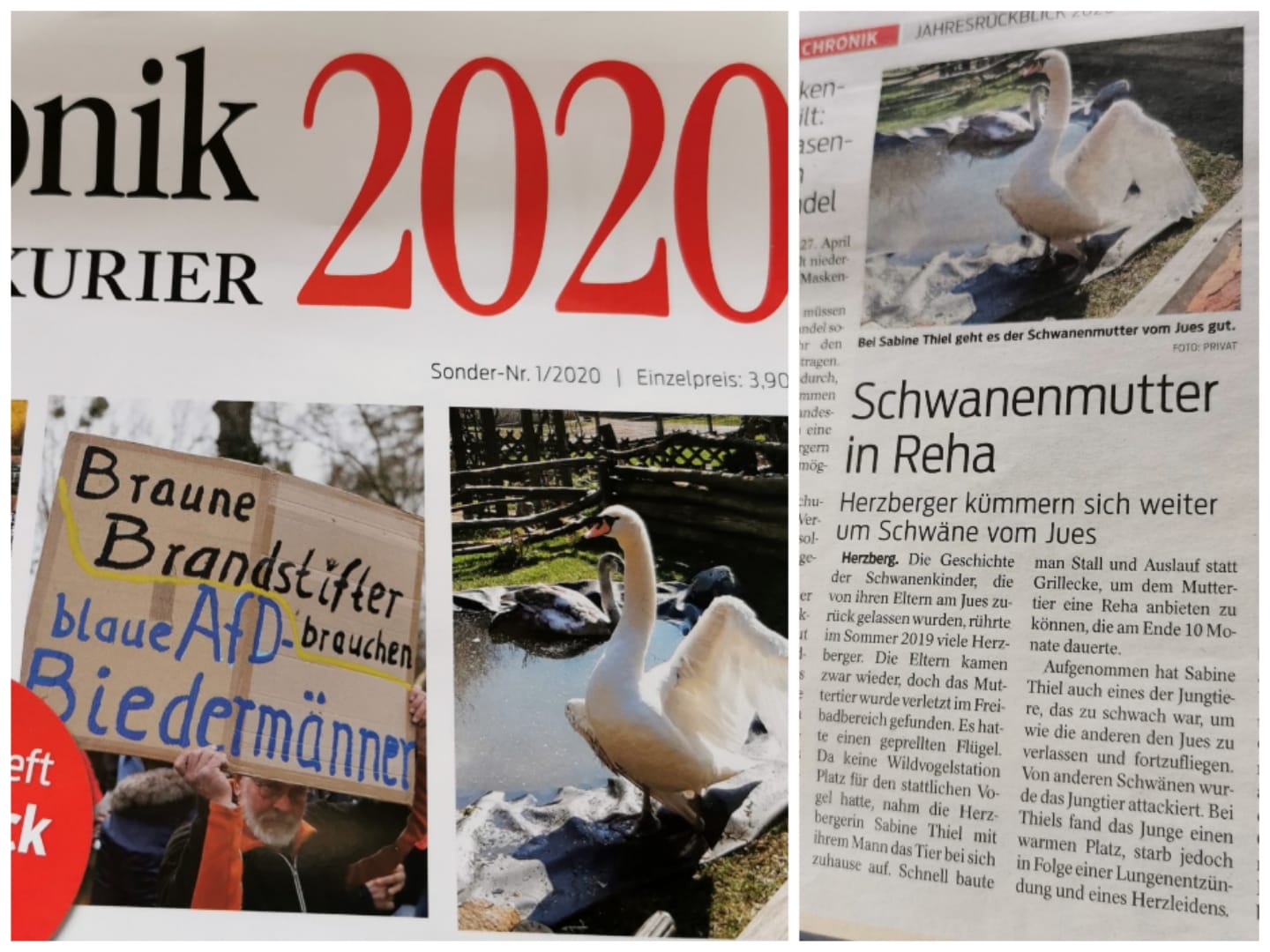 2020 Rückblick Jahres Chronik Harzkurier